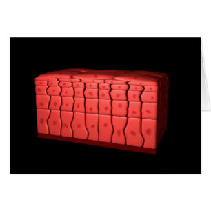 Cartão Conceito De Epithélio Escamoso Estratificado 2