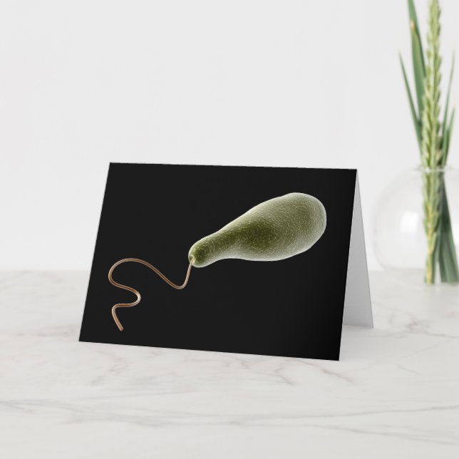Cartão Conceptual Image Of Euglena 2 (Frente)