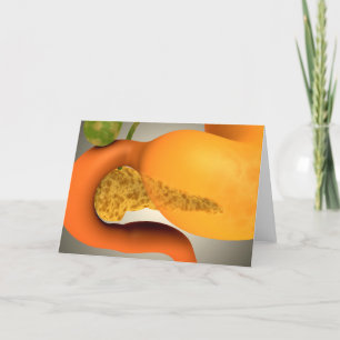 Cartão Conceptual Image Of Human Pancreas And Stomach