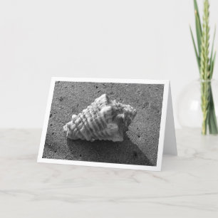 Cartão Conch Shell (Black and White) Card