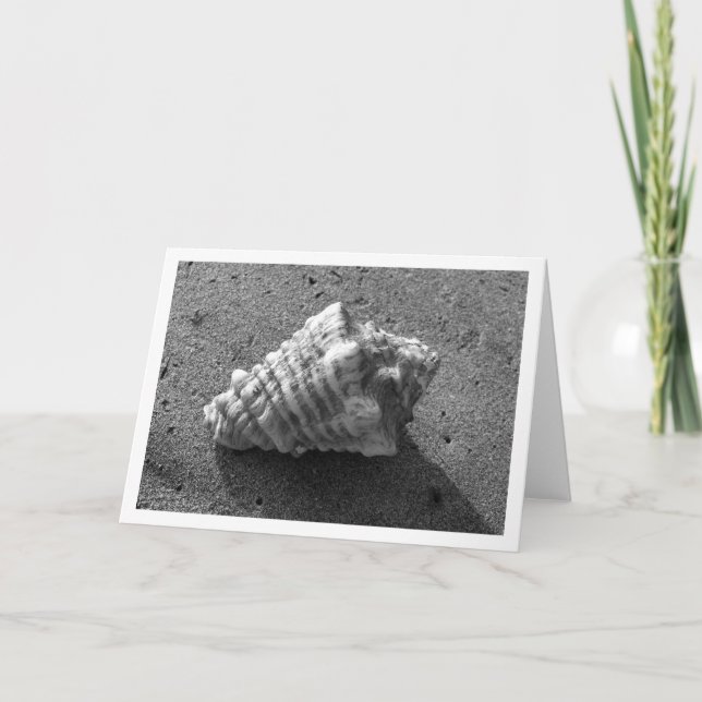 Cartão Conch Shell (Black and White) Card (Frente)