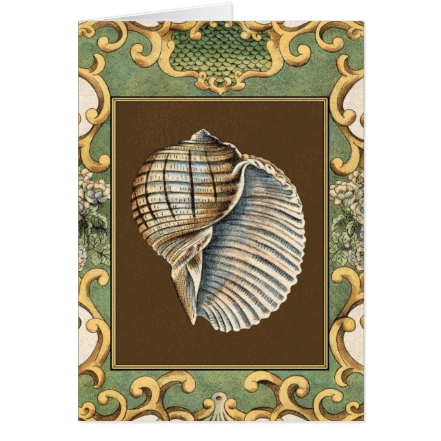 Cartão Conchas de Pequena Sereia (Frente)