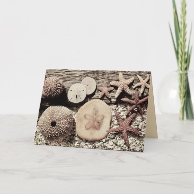 Cartão Conchas de Sanibel & Captiva Card (Frente)