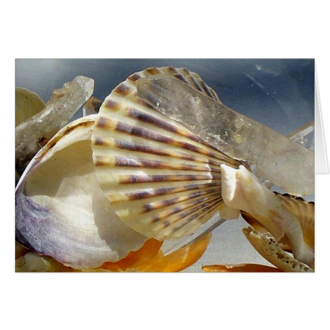 Cartão Conchas e cristais (Frente horizontal)