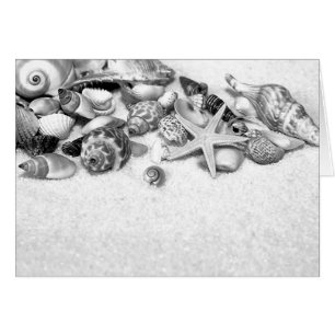Cartão Conchas e Starfish Card