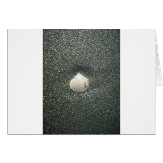 Cartão Conchas marítimas Hakuna Matata.JPG (Frente Horizontal)