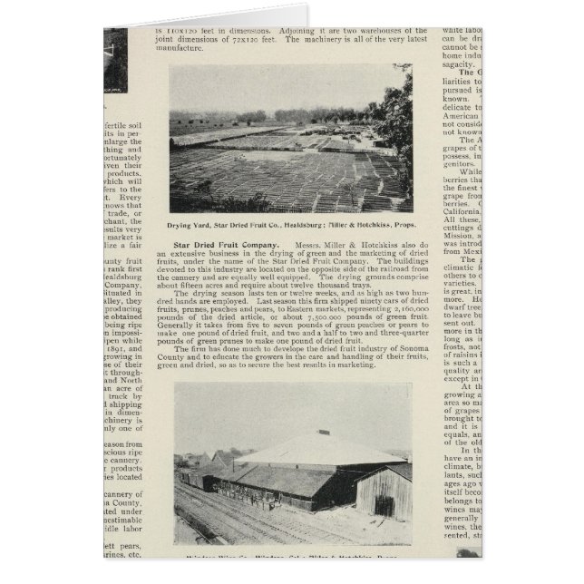 Cartão Condado de Sonoma, Califórnia (Frente)