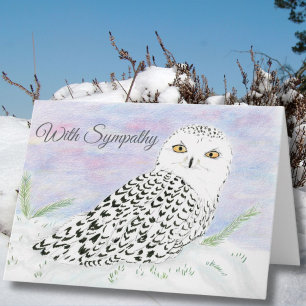 Cartão Condolence Snowy Owl No Lápis De Cor Do Sol De inv