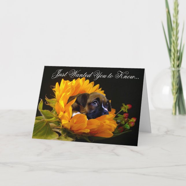Cartão Condolences Boxer puppy greeting card (Frente)