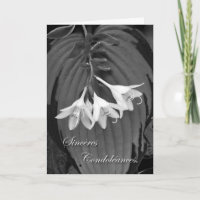 Condolências em francês, Hosta Blooms