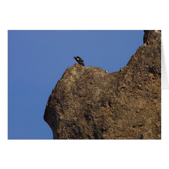 Cartão Condor #87 (Frente Horizontal)