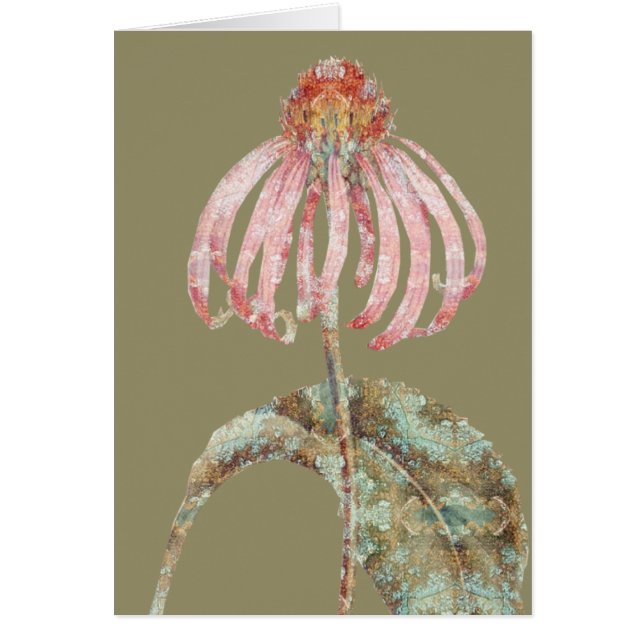 Cartão Coneflower (Frente)