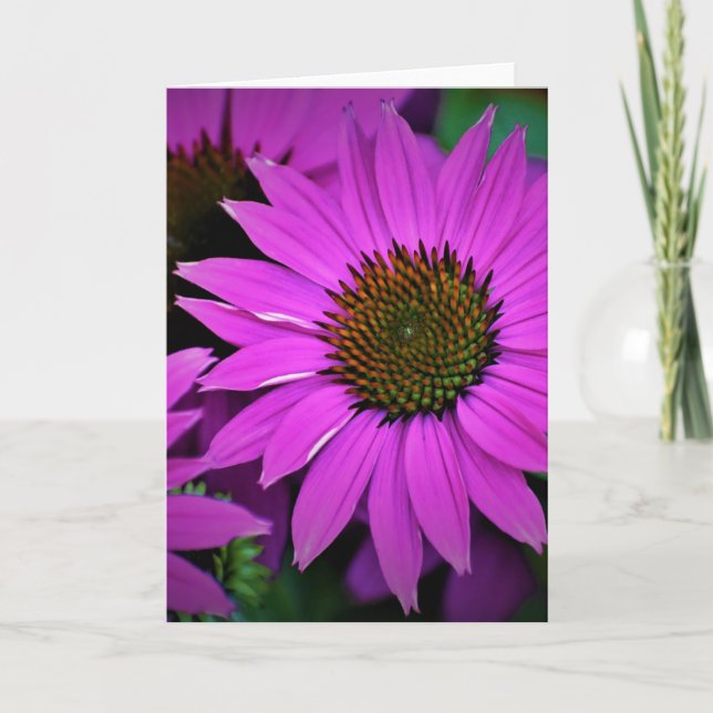 Cartão Coneflower, card (Frente)