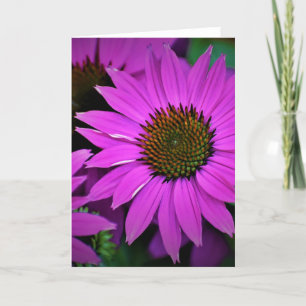 Cartão Coneflower, card