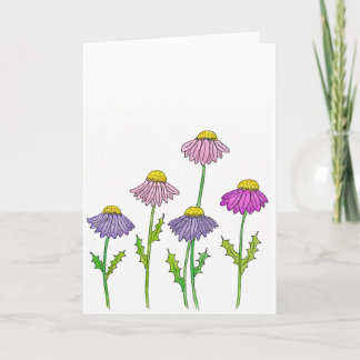 Cartão Coneflower Macia Simpatia