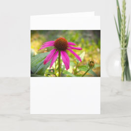 Cartão Coneflower, placa