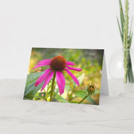 Cartão Coneflower, placa
