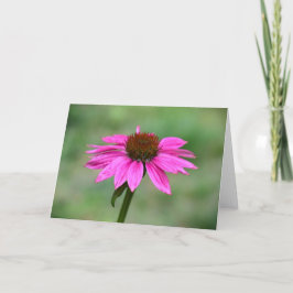 Cartão Coneflower, placa