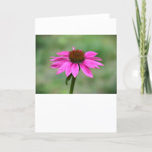 Cartão Coneflower, placa