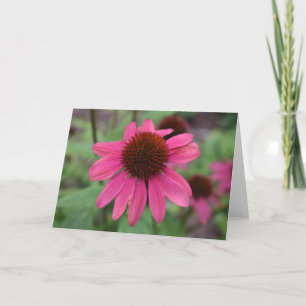 Cartão Coneflowers Greeting Card