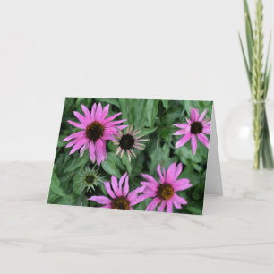 Cartão Coneflowers Greeting Card