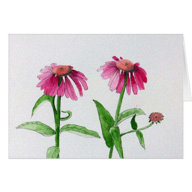 Cartão Coneflowers roxo (Frente horizontal)