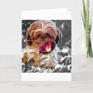 Cartão confiar em mais new.jpg