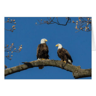 Cartão Confortável À Sua Volta