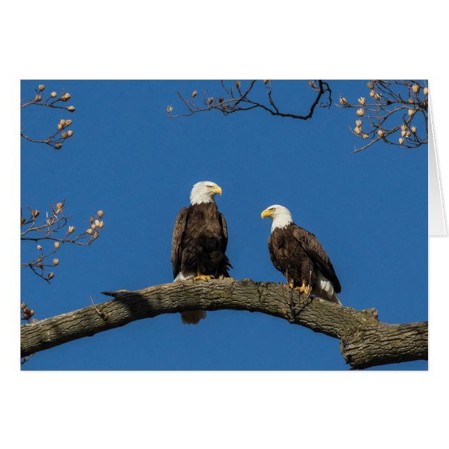 Cartão Confortável À Sua Volta (Frente Horizontal)