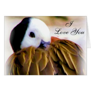 Cartão Conforto de amor_