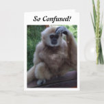 Cartão CONFUSED AT HOW YOU LOOK on 40th BIRTHDAY CARD<br><div class="desc">CONFUSED MONKEY-HOW "DO" YOU LOOK SO GOOD AND HAVE A BIRTHDAY,  TOO? THANKS FOR STOPPING BY ONE OF MY EIGHT STORES!!!!</div>