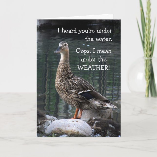 Cartão Confused Duck Get Well Card (Frente)