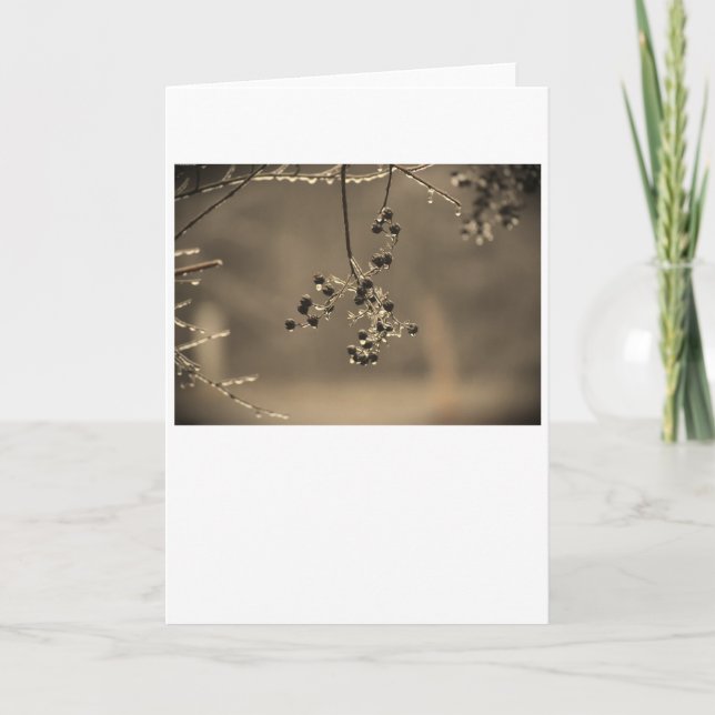 Cartão Congelamento de inverno, placa (Frente)