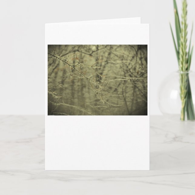 Cartão Congelamento de inverno, placa (Frente)