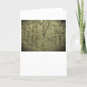 Cartão Congelamento de inverno, placa