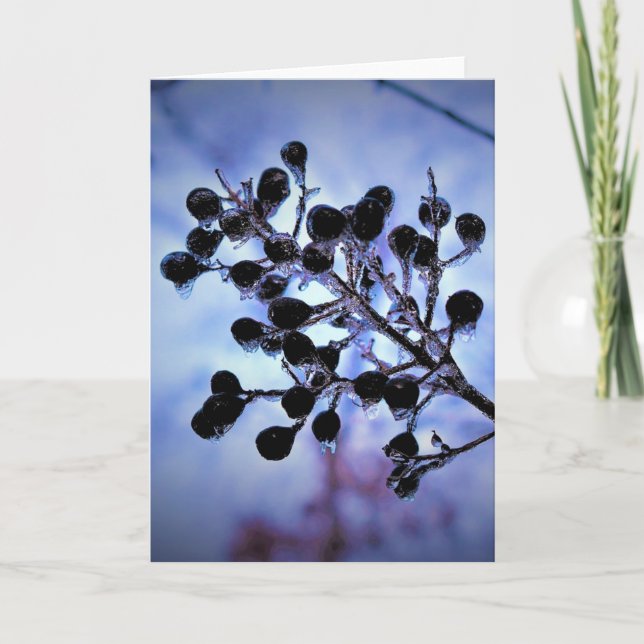 Cartão Congelamento de inverno, placa (Frente)