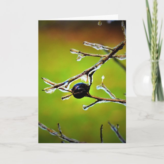 Cartão Congelamento de inverno, placa (Frente)