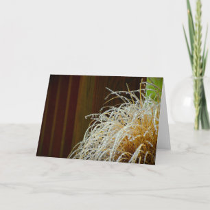 Cartão Congelamento de inverno, placa