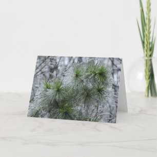 Cartão Congelamento de inverno, placa