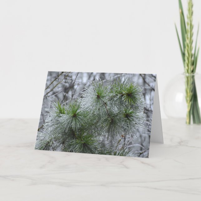 Cartão Congelamento de inverno, placa (Frente)