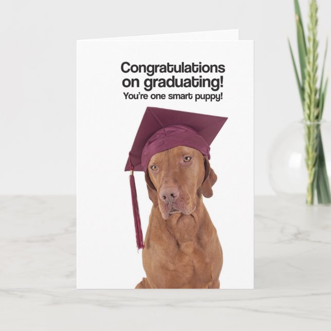 Cartão Congrats on Graduating (Vizsla) - Greeting Card (Frente)
