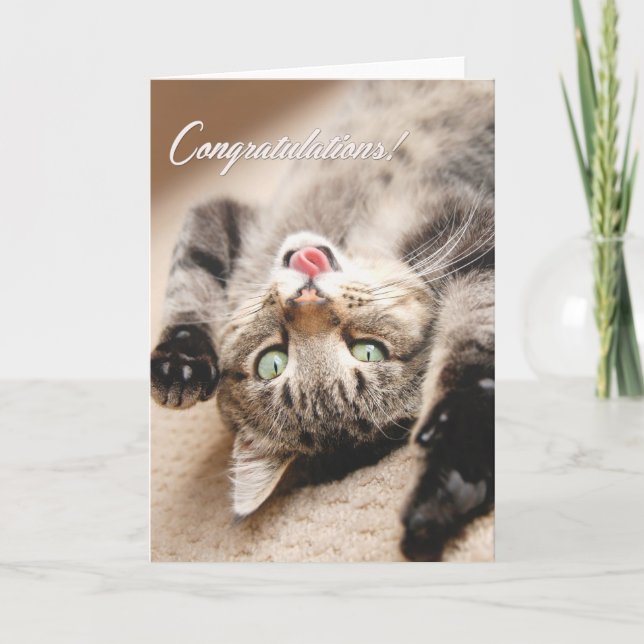 Cartão Congratulations Card with Happy Tabby Kitten (Frente)