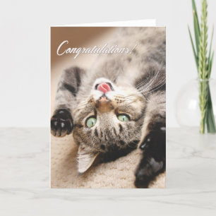 Cartão Congratulations Card with Happy Tabby Kitten
