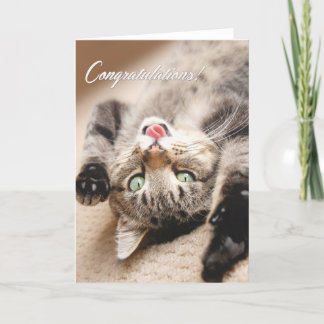 Cartão Congratulations Card with Happy Tabby Kitten