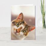 Cartão Congratulations! Cute Cat Kitten Animal Funny Card<br><div class="desc">Congratulations! Cute Cat Kitten Animal Funny</div>