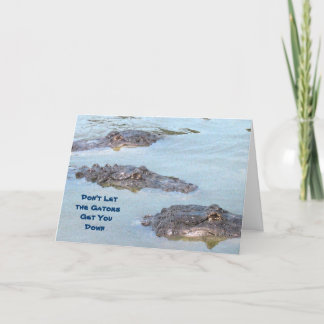 Cartão Congratulations Gator Card