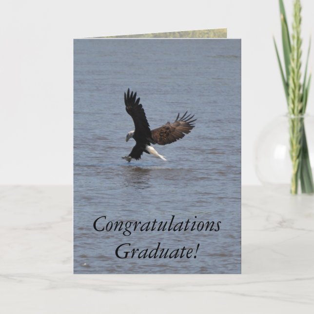 Cartão Congratulations Graduate ~ Bald Eagle (Frente)