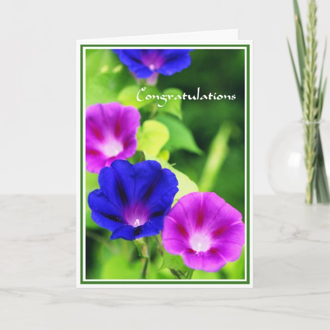 Cartão Congratulations - Morning Glories Greeting Card (Frente)