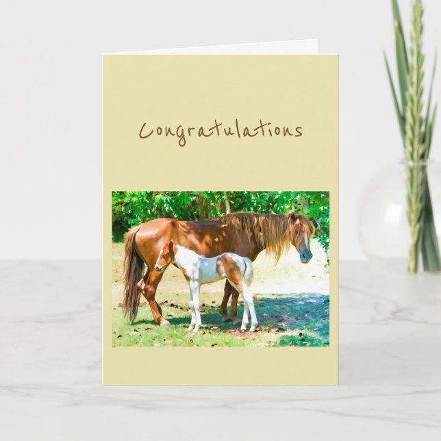 Cartão Congratulations New Addition Baby Horse Foal (Frente)