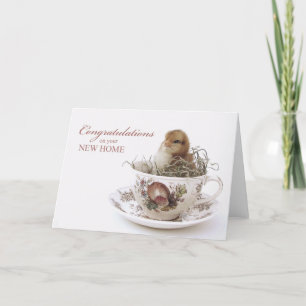 Cartão Congratulations New Home, Chick in Teacup